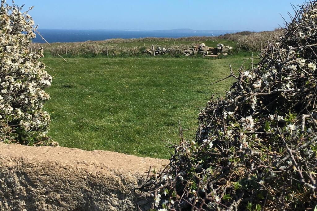 Folly Farm Cottage, Cosy, Secluded Near To St Ives Exterior foto