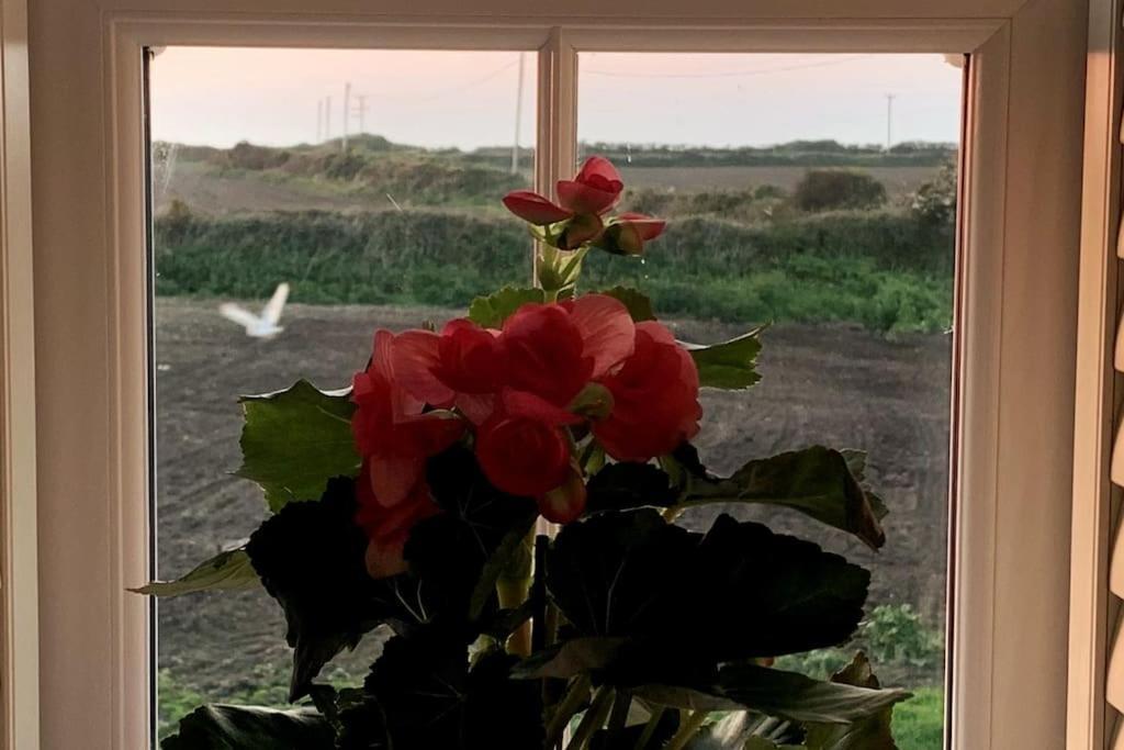 Folly Farm Cottage, Cosy, Secluded Near To St Ives Exterior foto
